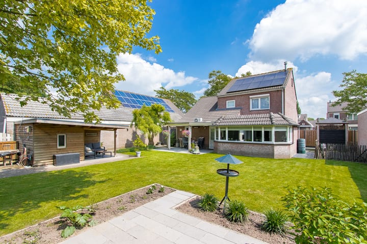 Foto 1 van Geelrijs 13