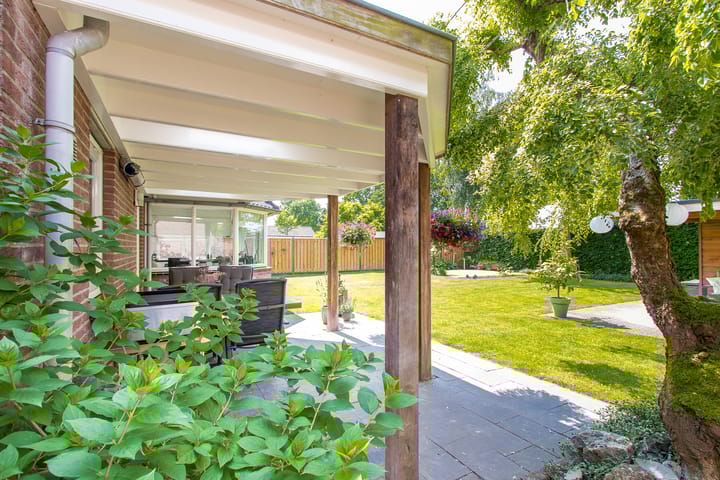 Foto 50 van Geelrijs 13