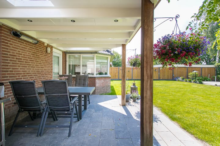 Foto 51 van Geelrijs 13