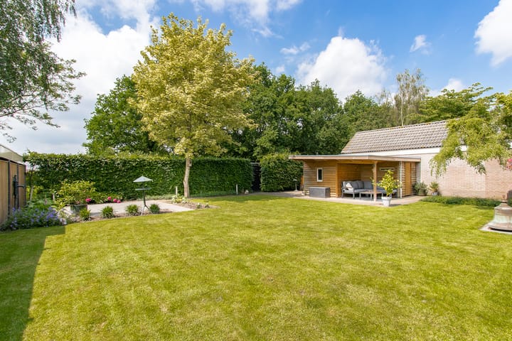 Foto 53 van Geelrijs 13