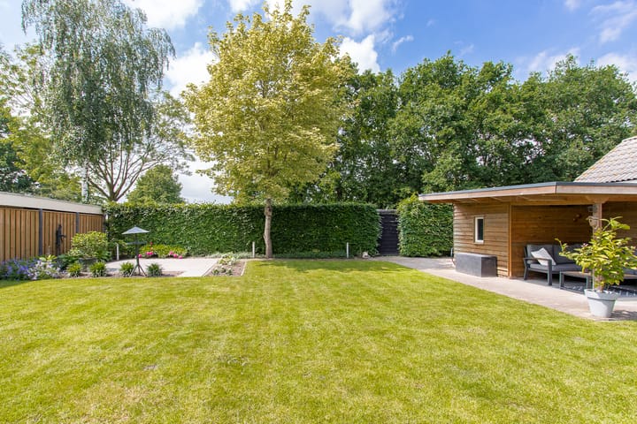 Foto 55 van Geelrijs 13