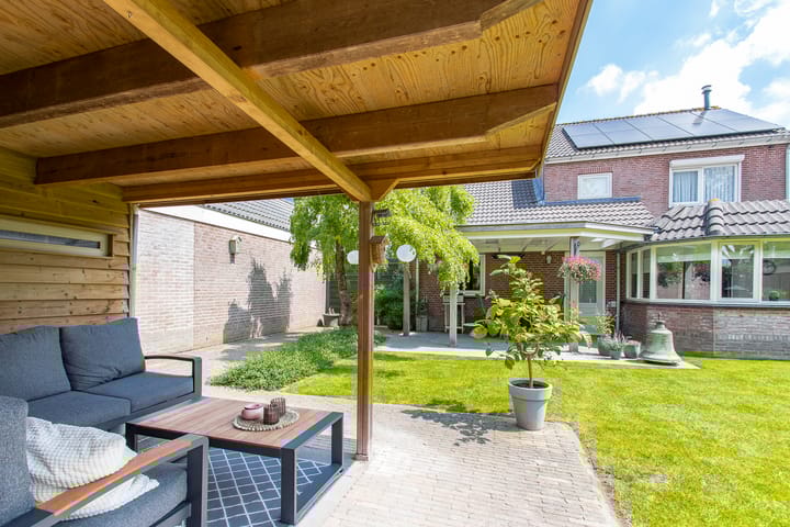 Foto 61 van Geelrijs 13