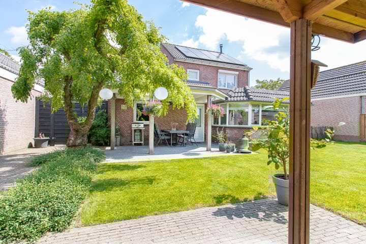 Foto 62 van Geelrijs 13