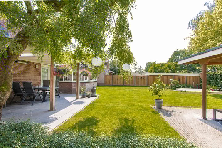 Foto 63 van Geelrijs 13