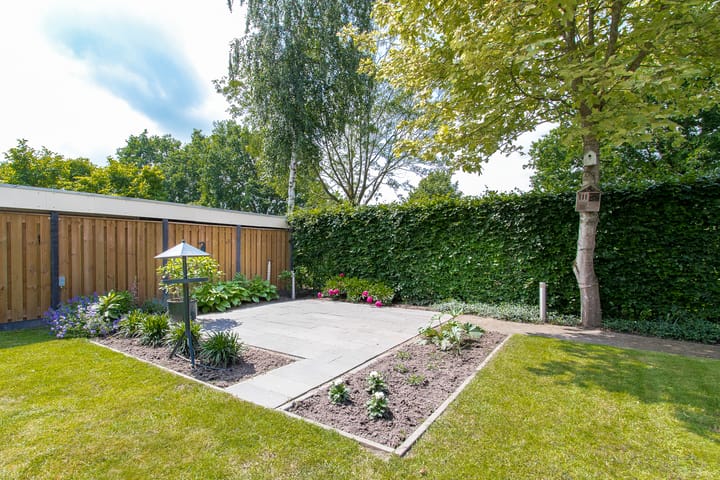 Foto 64 van Geelrijs 13