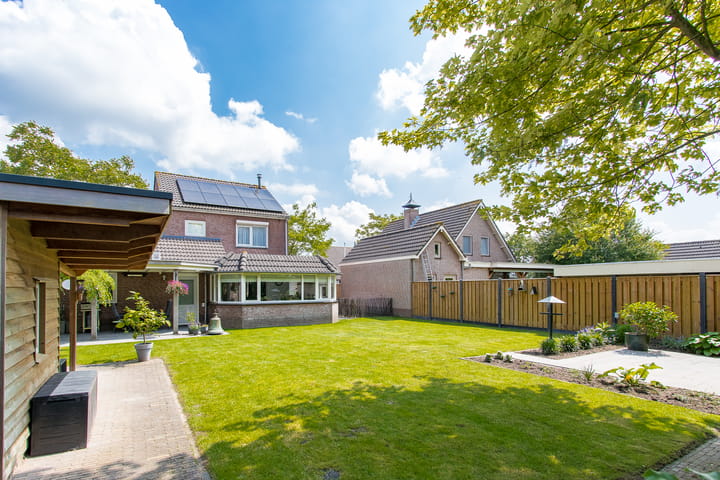 Foto 66 van Geelrijs 13