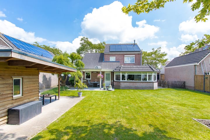 Foto 65 van Geelrijs 13