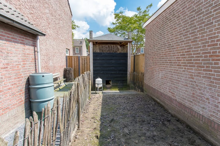 Foto 68 van Geelrijs 13