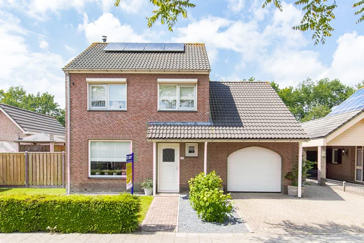 Foto 73 van Geelrijs 13