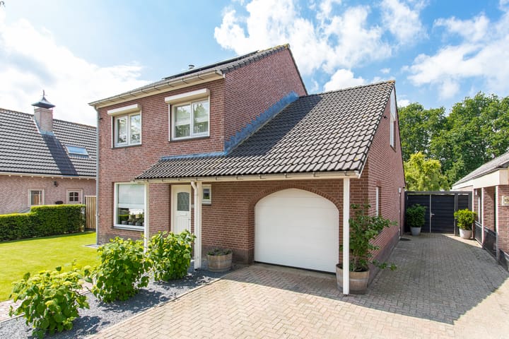 Foto 75 van Geelrijs 13