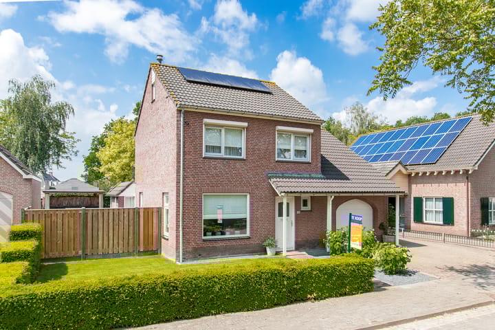 Foto 76 van Geelrijs 13