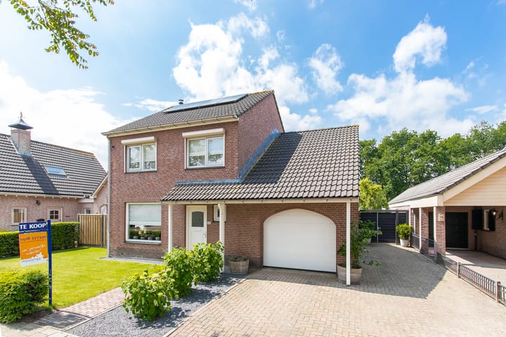 Foto 77 van Geelrijs 13