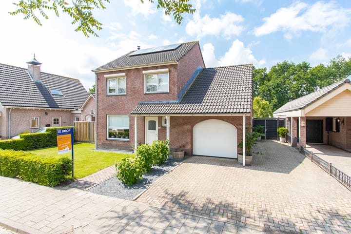 Foto 78 van Geelrijs 13