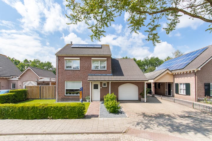 Foto 79 van Geelrijs 13