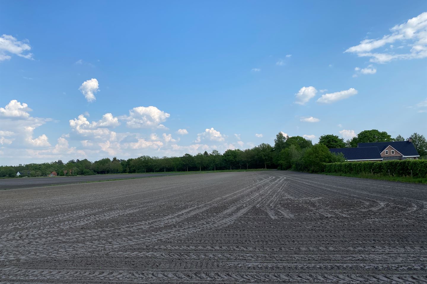 Bekijk foto 3 van Witterzomer