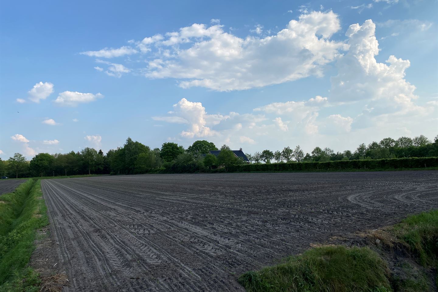 Bekijk foto 4 van Witterzomer