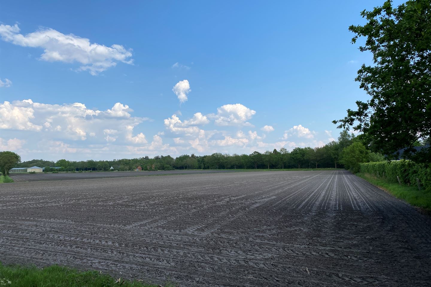 Bekijk foto 2 van Witterzomer