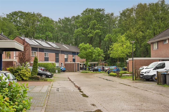 Bekijk foto 19 van Hesselinklanden 93