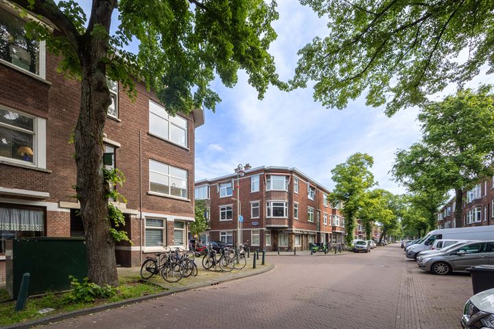 View photo 2 of Linnaeusstraat 241