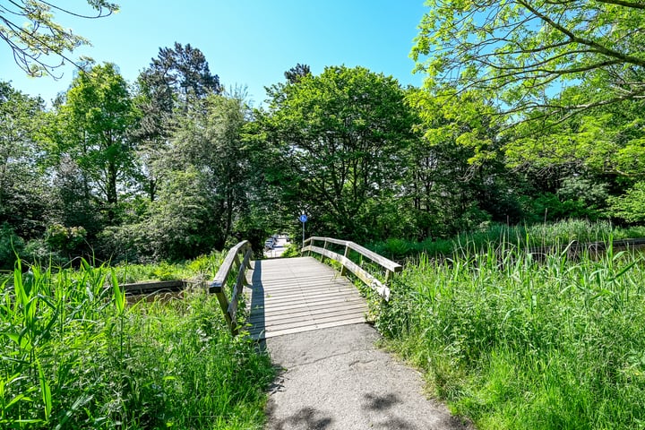 Bekijk foto 38 van Eikenrodelaan 102-HS