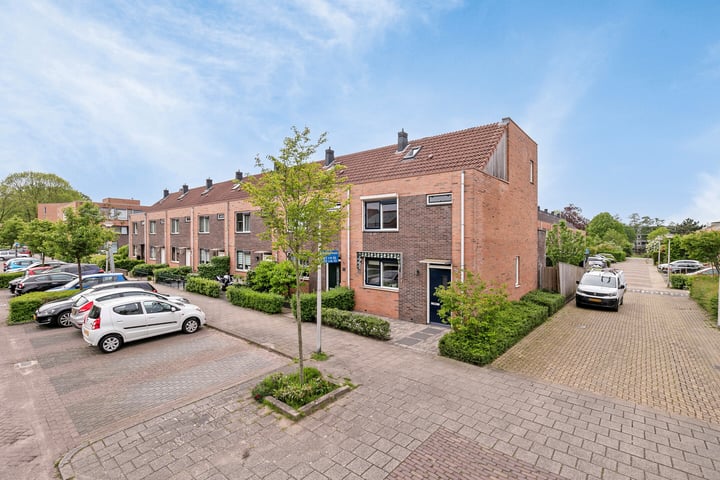 Bekijk foto 1 van Lupinestraat 79