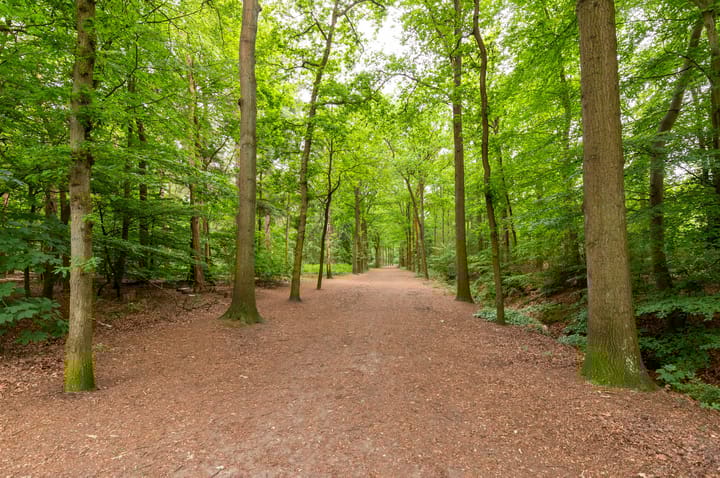 Foto 56 van Teijchinélaan 10