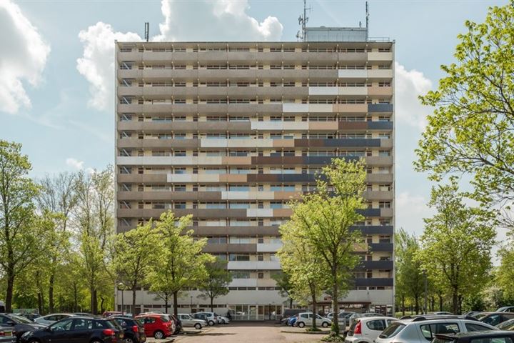 Bekijk foto 16 van Munt 132