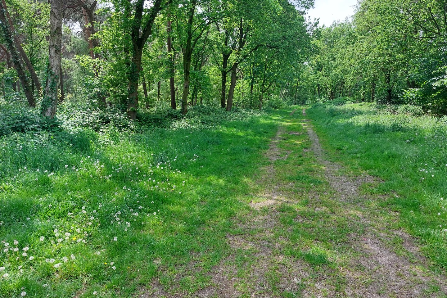 Bekijk foto 2 van Peelweg