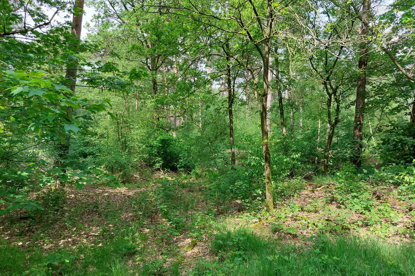 Bekijk foto 3 van Peelweg