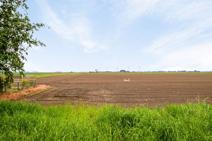 Bekijk foto 41 van Zinkweg 346