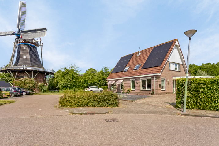undefined main image