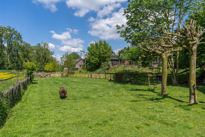 Bekijk foto 3 van Maasdijk 29