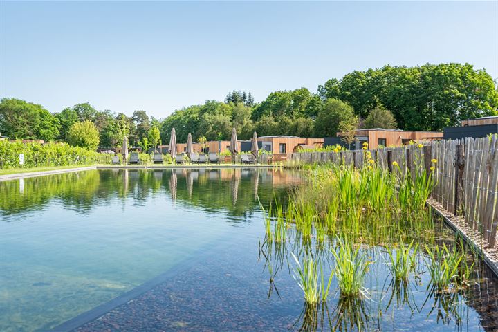 Bekijk foto 40 van Vosseveldseweg 15-147