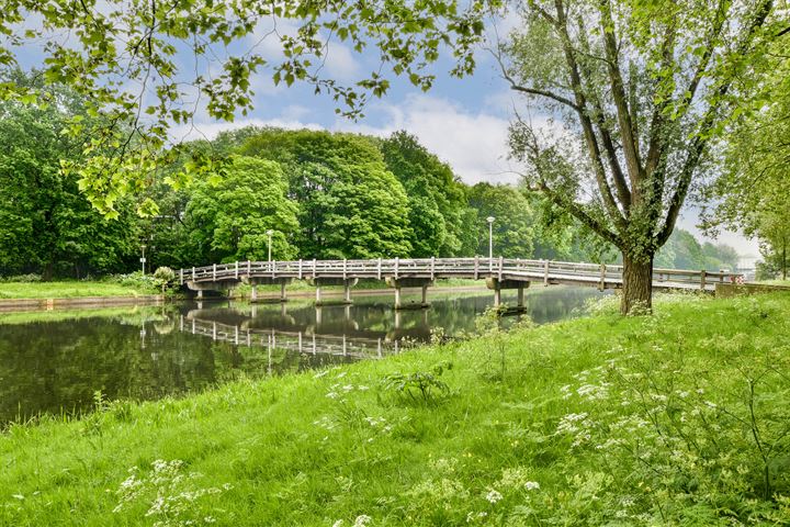 Bekijk foto 19 van Maassluisstraat 216