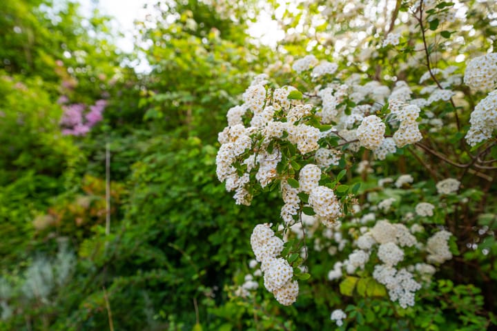 Foto 43 van Marelstraat 8