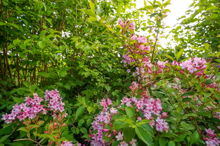 Foto 46 van Marelstraat 8