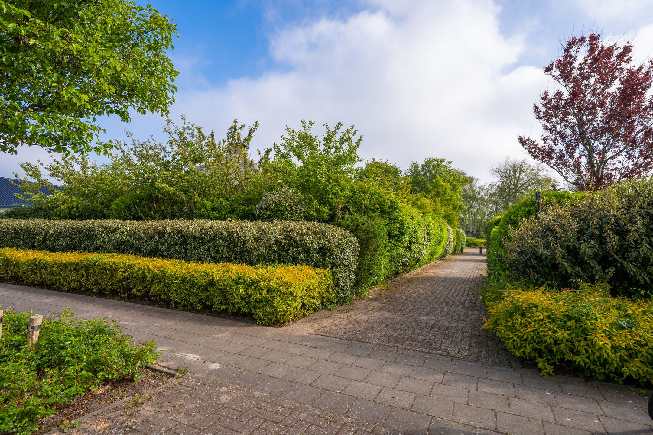 Foto 54 van Marelstraat 8