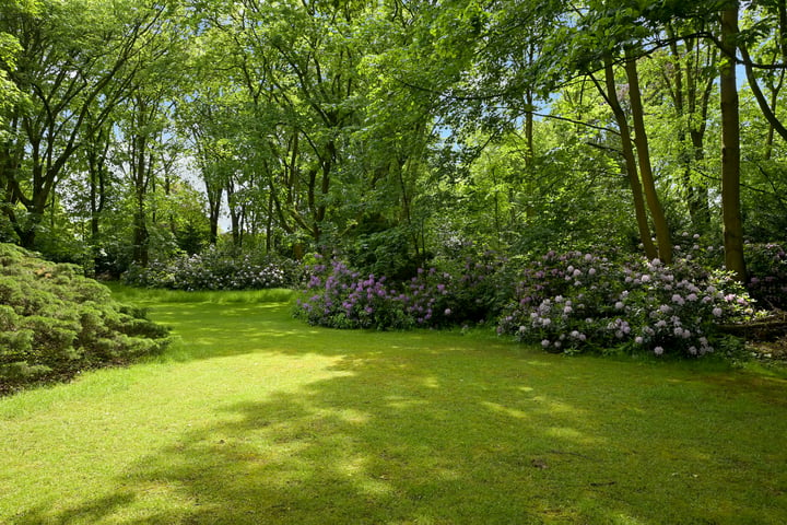 Bekijk foto 13 van Prins Frederiklaan 28