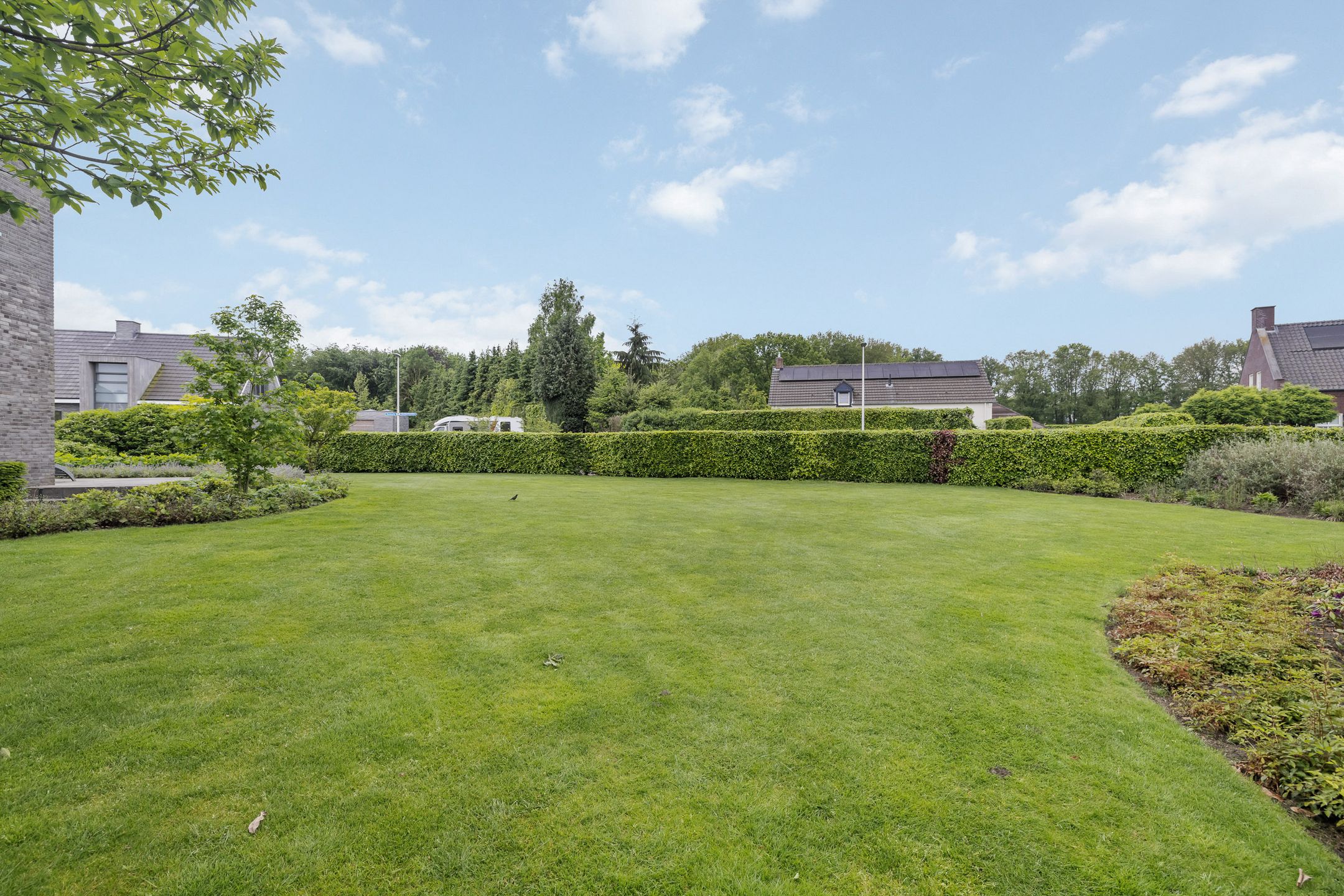 Photo 42 of Zandoerle 50