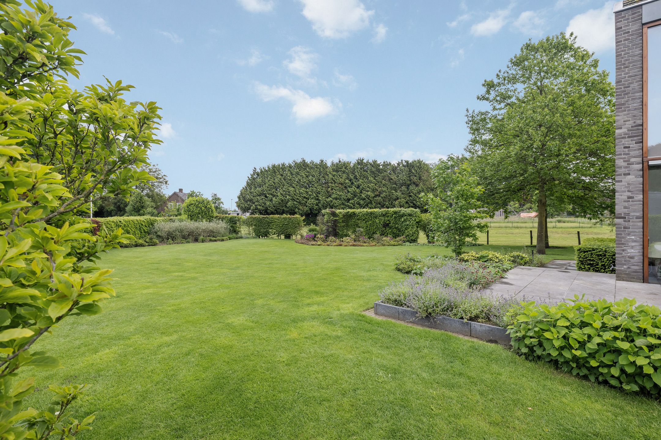 Photo 45 of Zandoerle 50