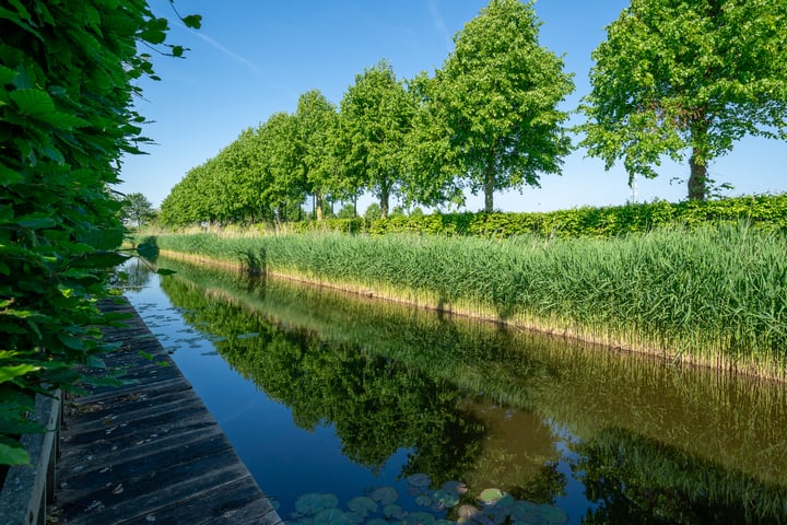 Bekijk foto 53 van Else van den Banlaan 26