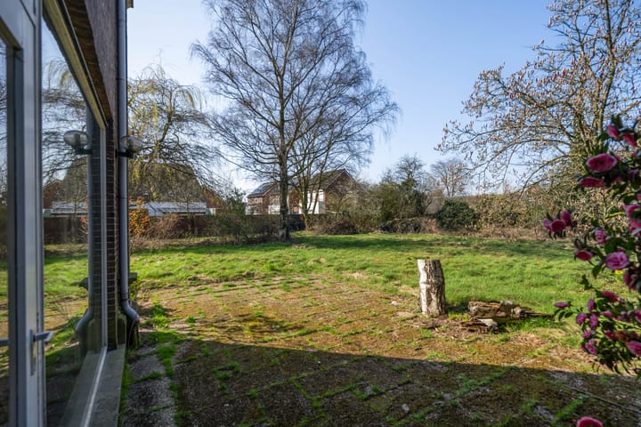 Photo 37 of Wilhelminastraat 20