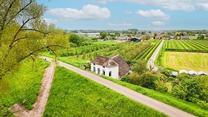 Foto 3 van Polstraat 37