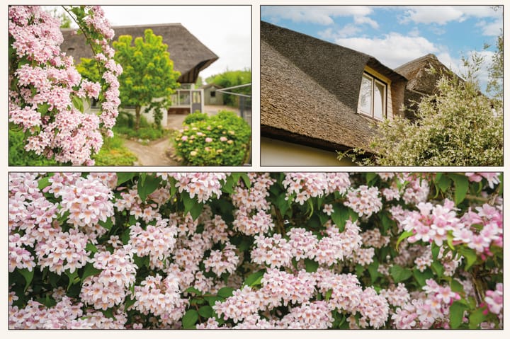 Foto 54 van Polstraat 37