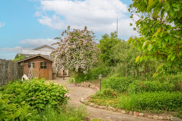 Foto 55 van Polstraat 37