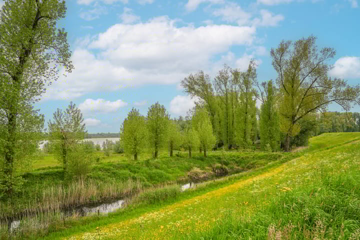 Foto 69 van Polstraat 37