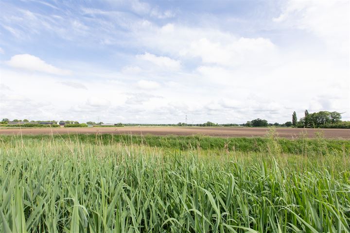 Bekijk foto 47 van Laagstraat 9