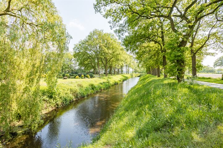 Bekijk foto 70 van Braambergerweg 17