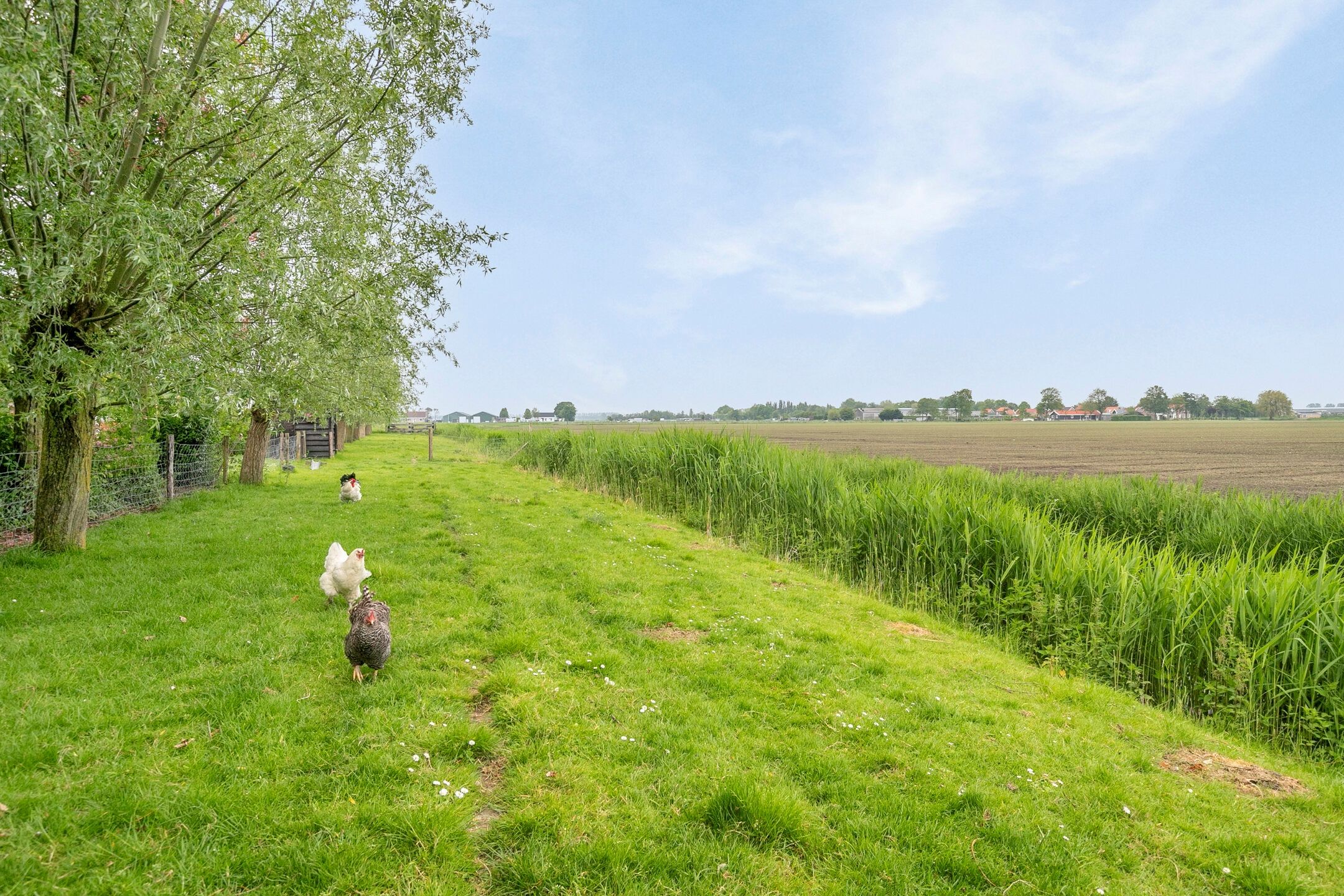 Foto 69 van Oudelandsedijk 21-A