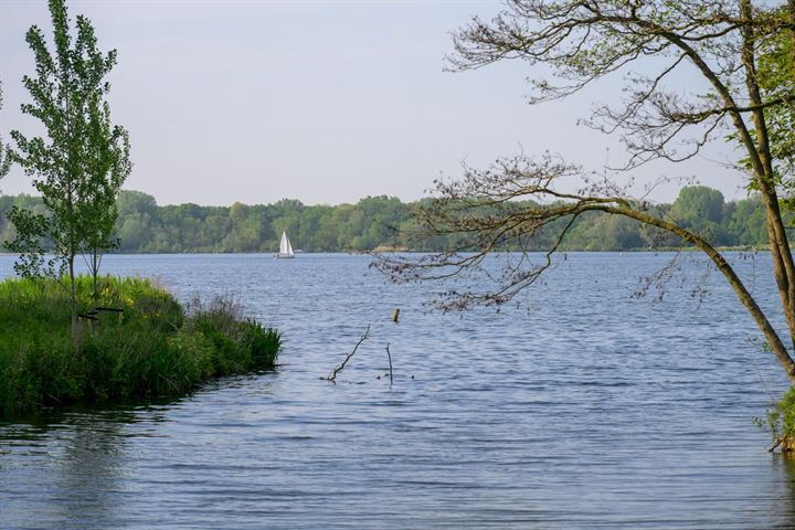 Bekijk foto 60 van Mecklenburglaan 30